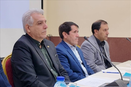 بهره‌وری در صنعت برق نیازمند مشارکت همه شرکت‌های توزیع است